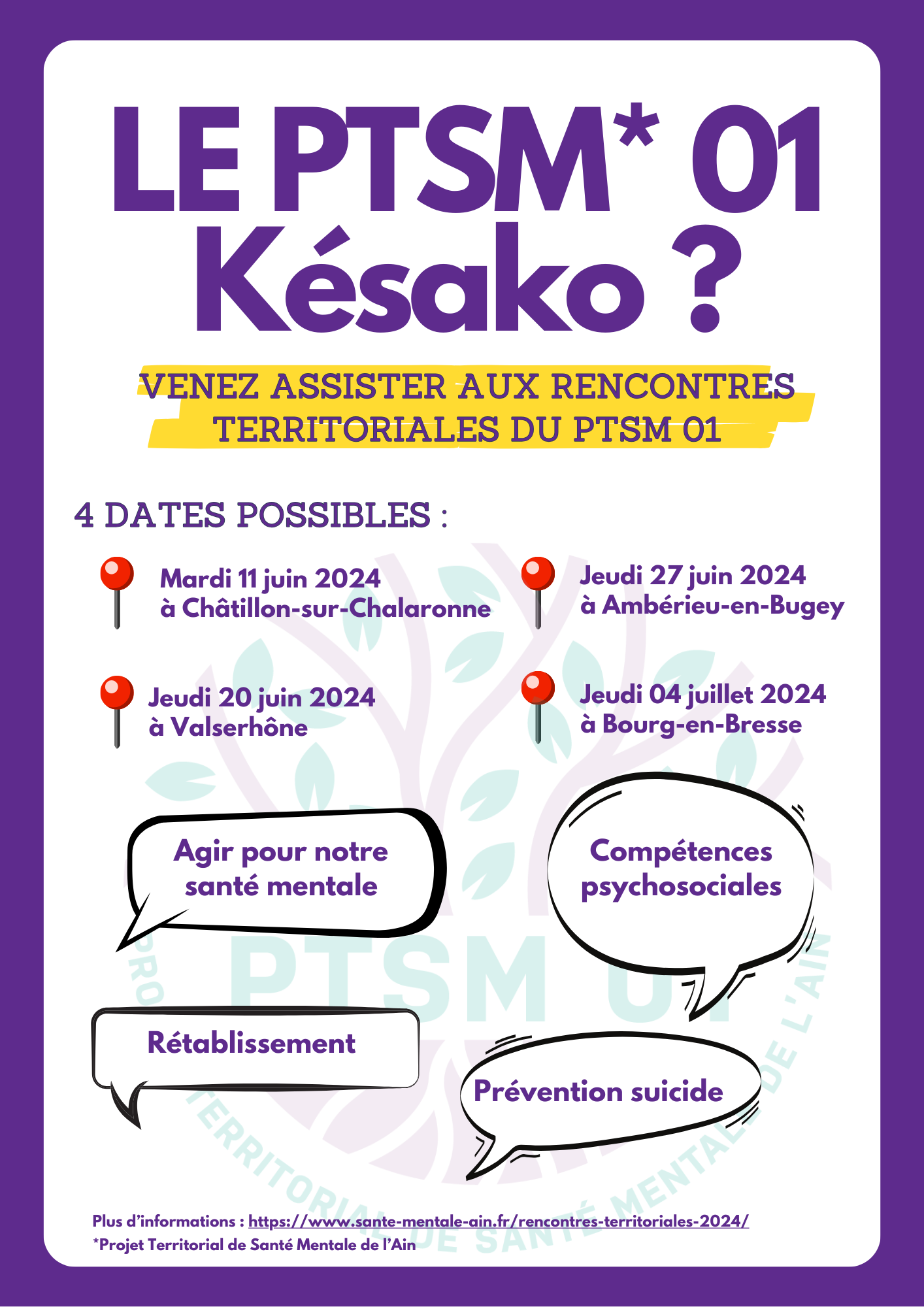 Rencontres territoriales 2024 du PTSM 01